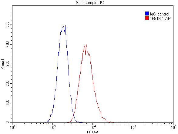 HLA-DQA1 Polyclonal antibody