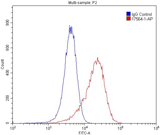 CD146/MCAM Polyclonal antibody