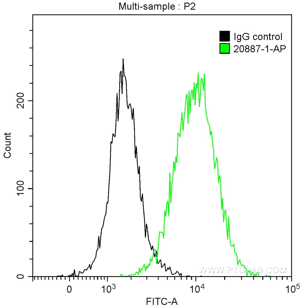 Caldesmon Polyclonal antibody