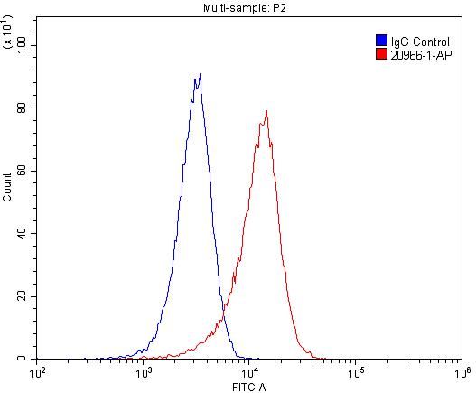 LEPR Polyclonal antibody