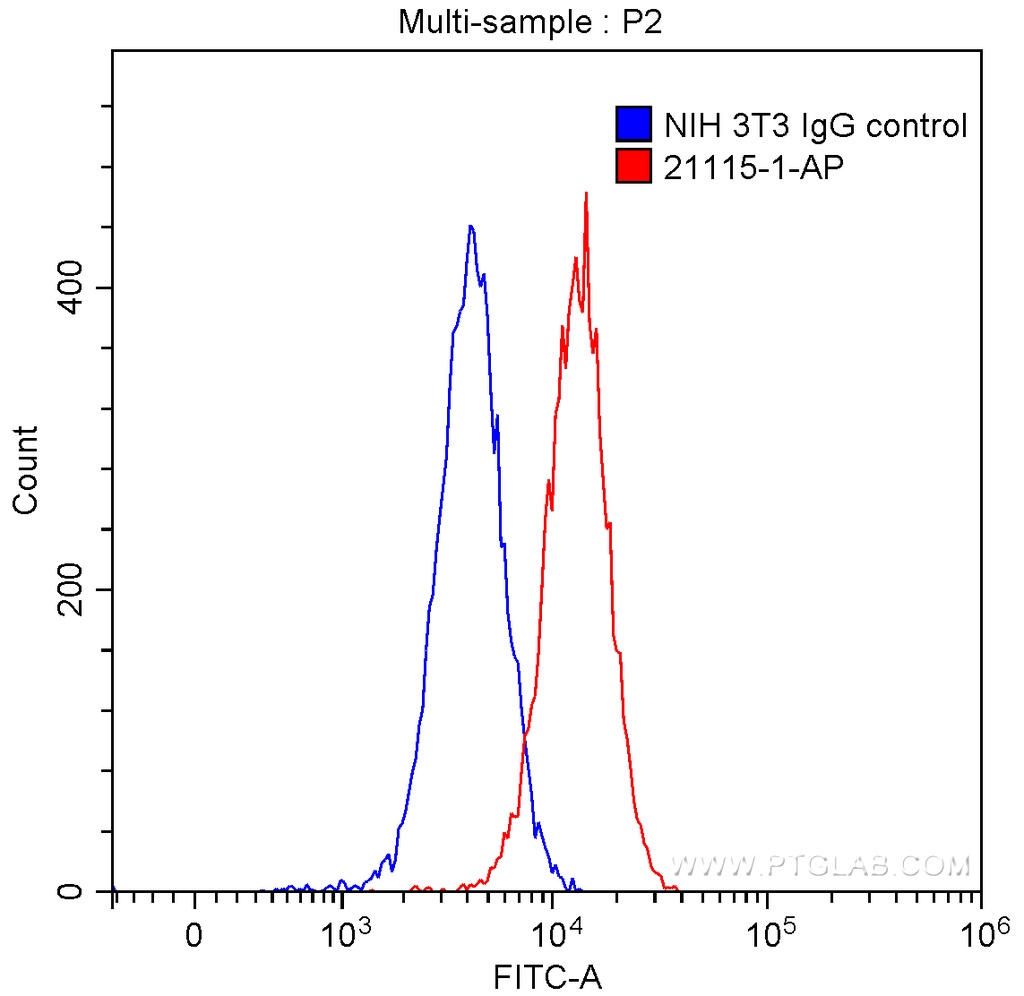 ACE2 Polyclonal antibody