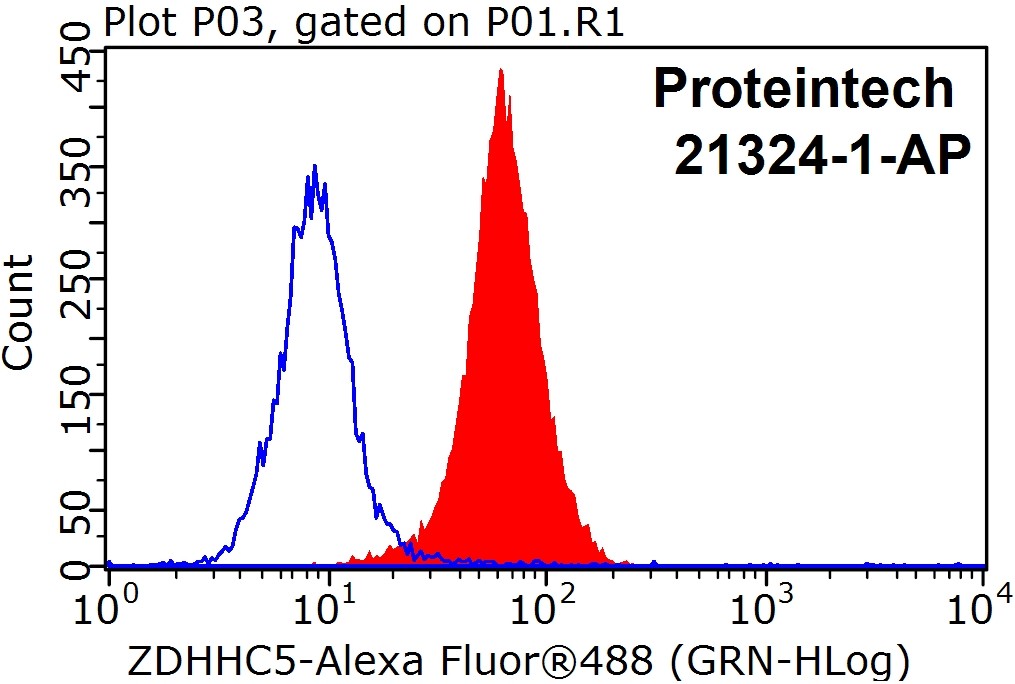 ZDHHC5 Polyclonal antibody