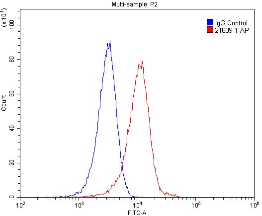 IL-1-RAPL-1 Polyclonal antibody
