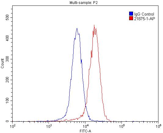 EphA4 Polyclonal antibody