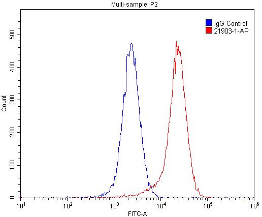 PVRL4 Polyclonal antibody
