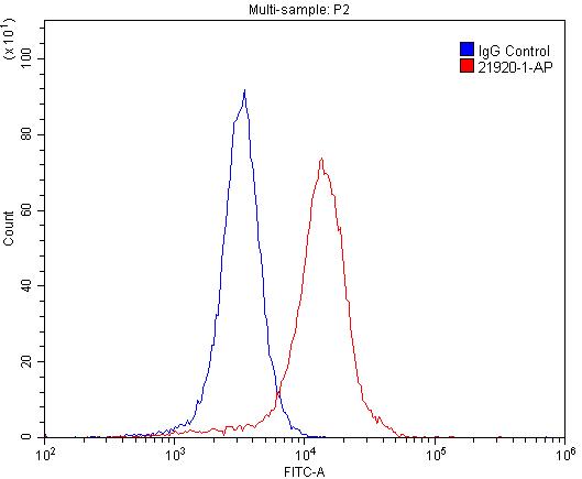 NMDAR2B/GRIN2B Polyclonal antibody