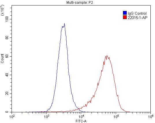 RRBP1 Polyclonal antibody