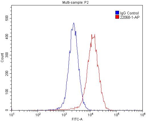 UNC5A Polyclonal antibody