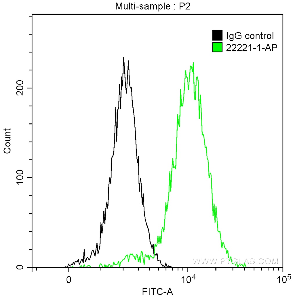 Cytokeratin 14 Polyclonal antibody