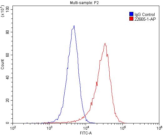 FSHR Polyclonal antibody
