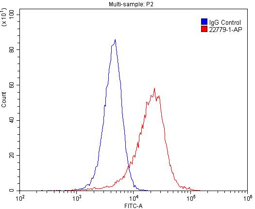 LIFR Polyclonal antibody