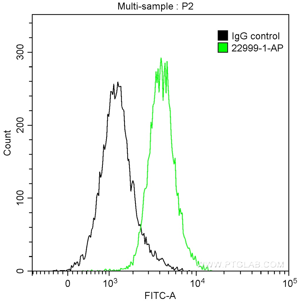 PARP1 Polyclonal antibody