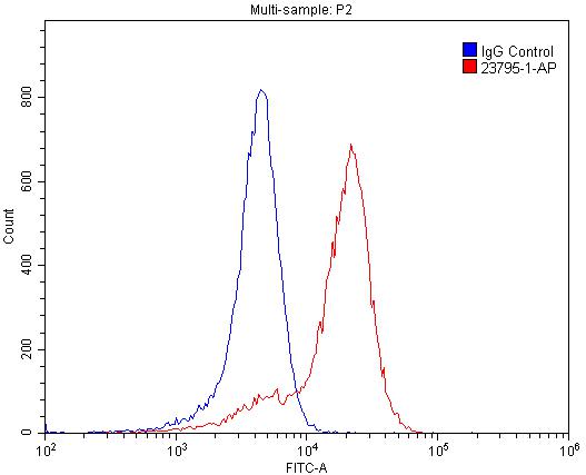 PLXNB1 Polyclonal antibody