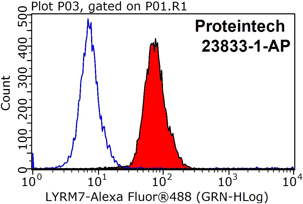 LYRM7 Polyclonal antibody