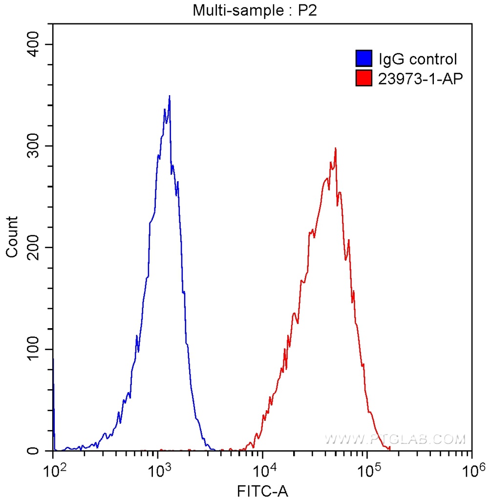 CD2 Polyclonal antibody
