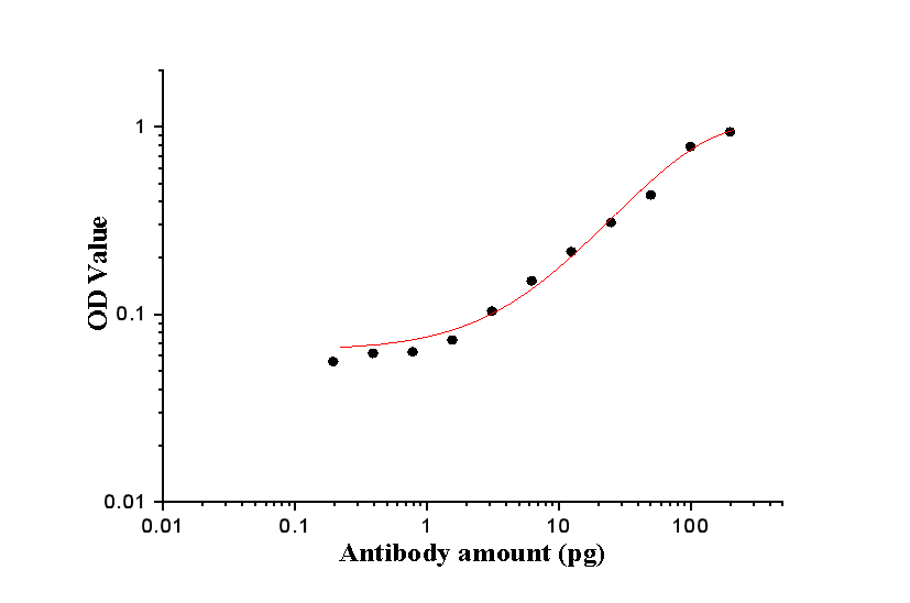 PR repeat Polyclonal antibody