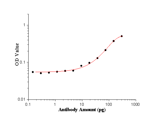 GA repeat Polyclonal antibody