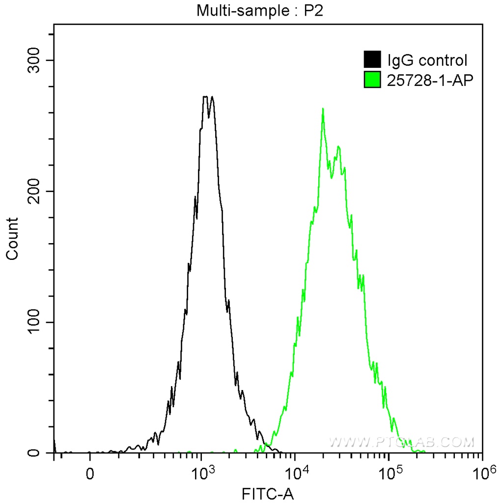 HBG1 Polyclonal antibody