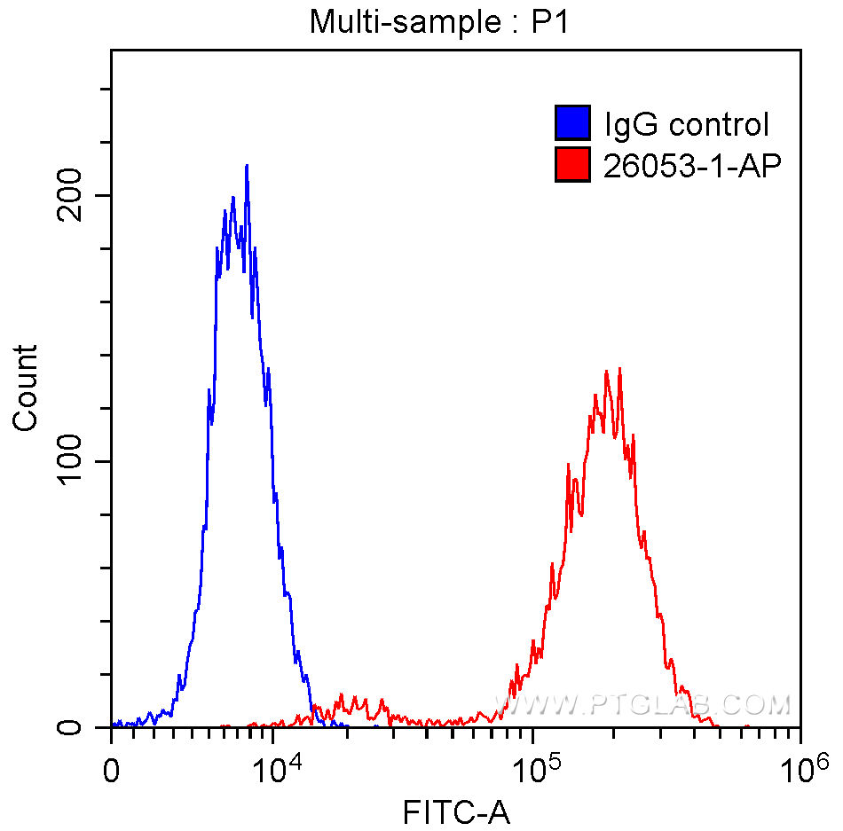MSN Polyclonal antibody