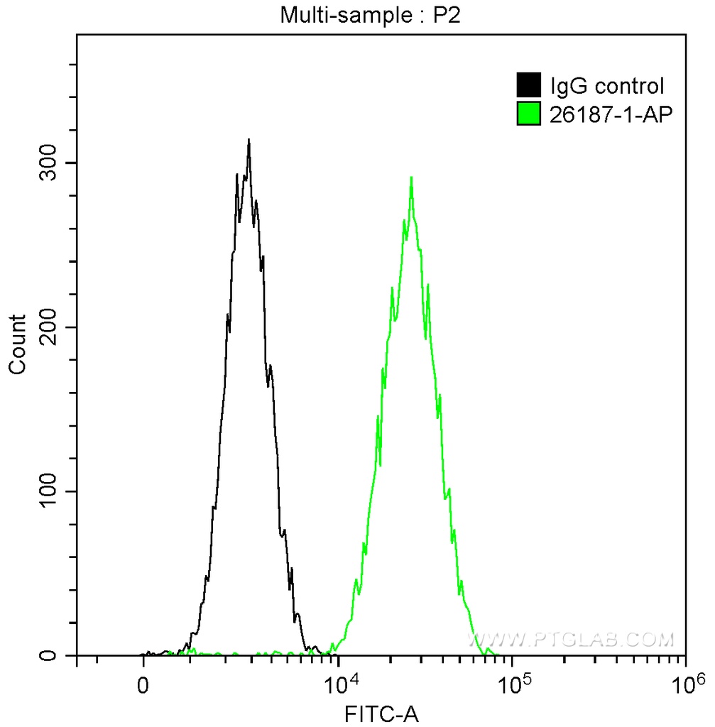 DRP1 (N-terminal) Polyclonal antibody
