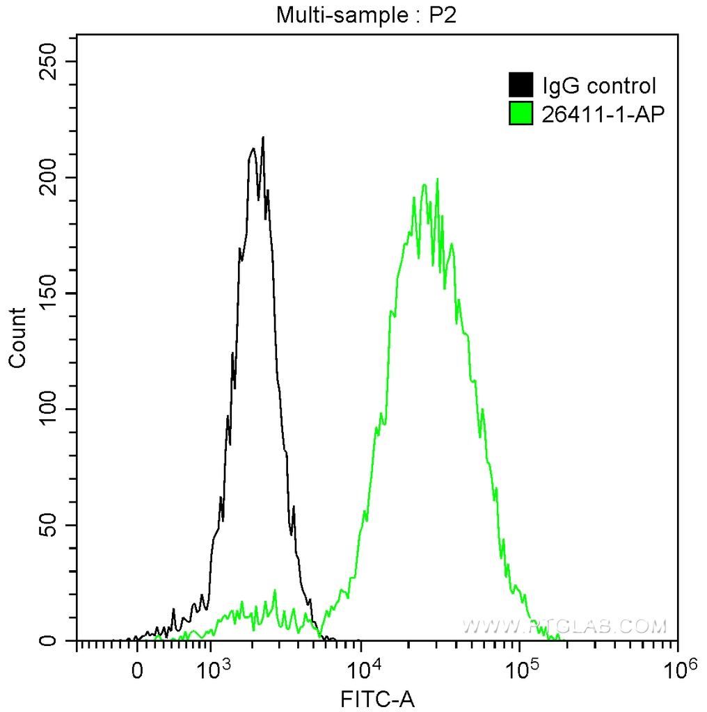 pan-keratin Polyclonal antibody