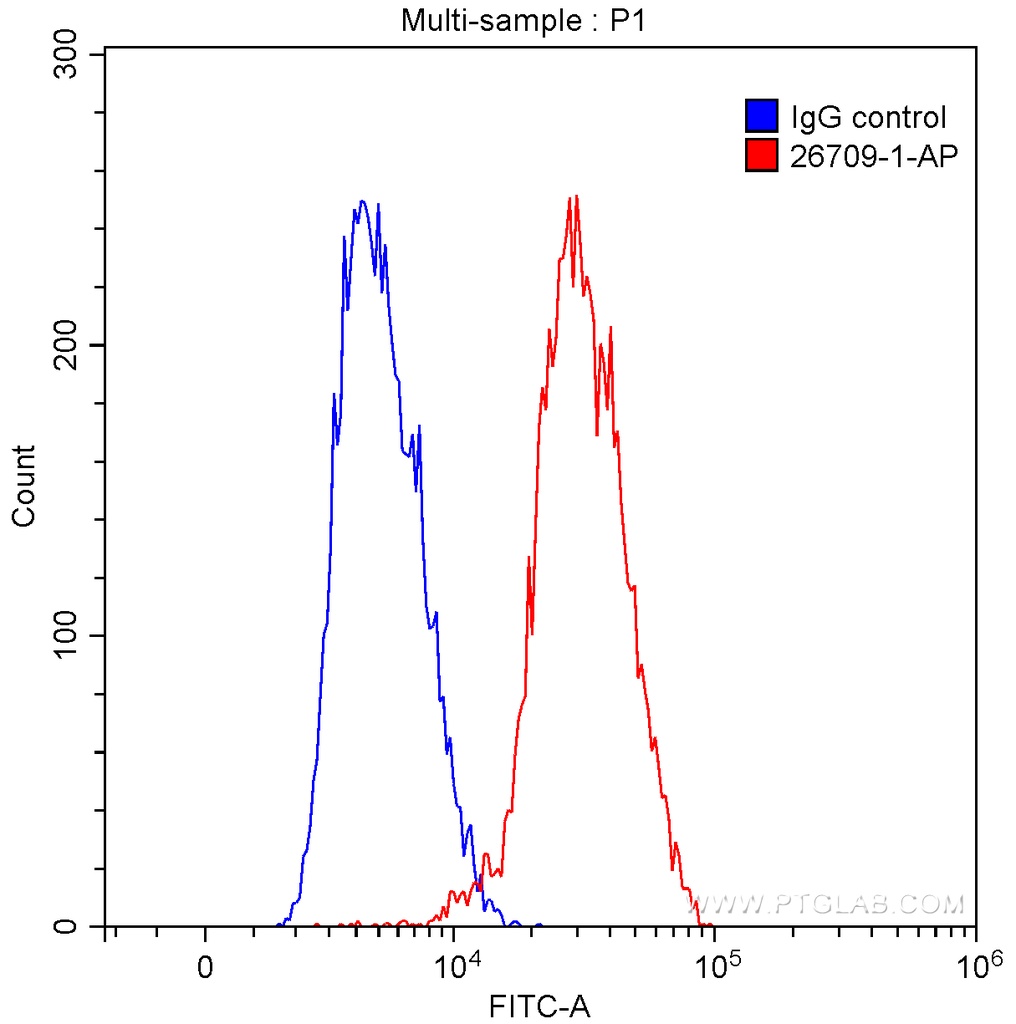 BSAP,PAX5 Polyclonal antibody