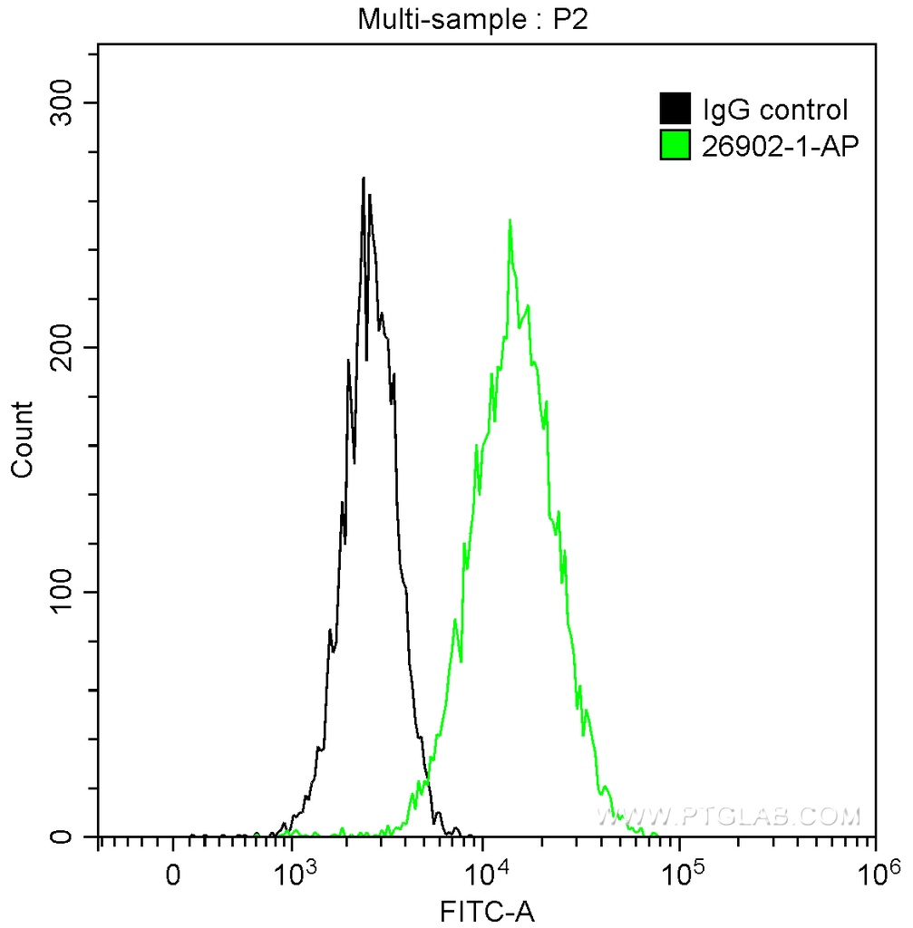NDRG1 Polyclonal antibody