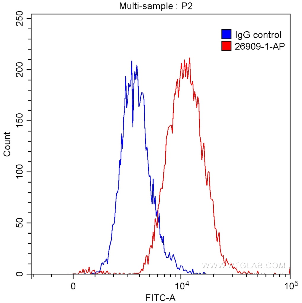 Uteroglobin/CC10 Polyclonal antibody