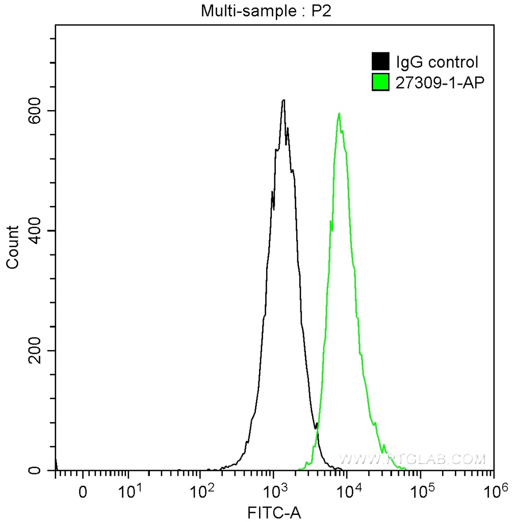 KI67 Polyclonal antibody