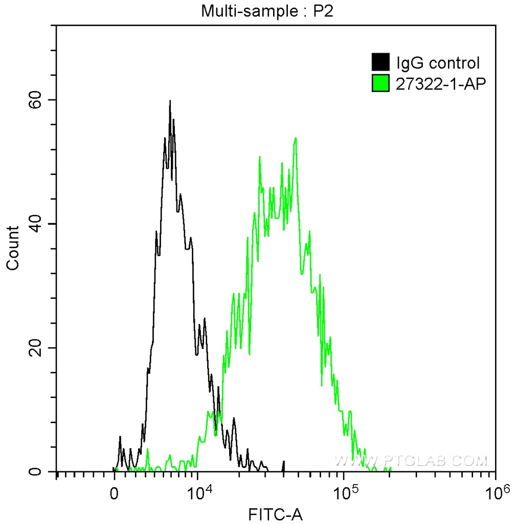ICAM2 Polyclonal antibody