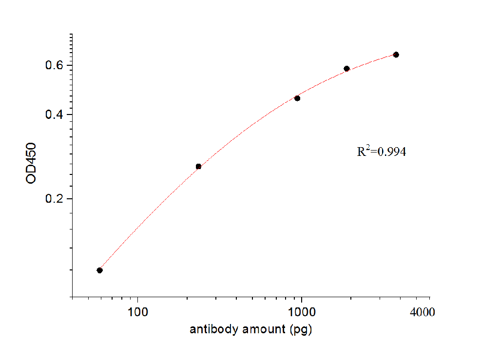 SARS-CoV-2 Nucleocapsid Phosphoprotein Polyclonal antibody