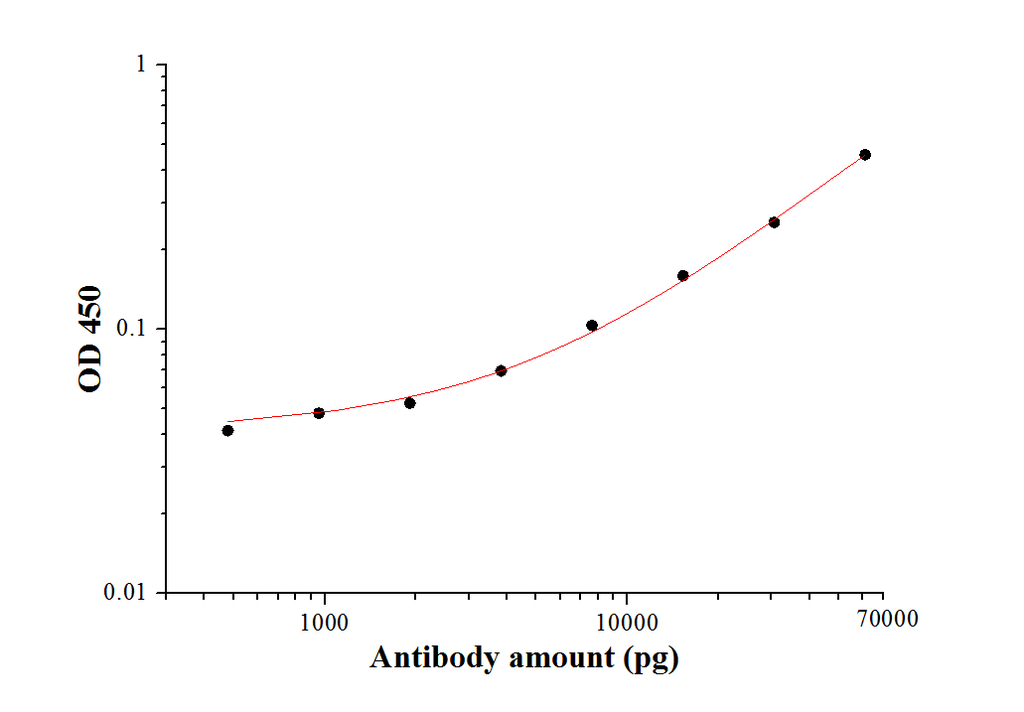 SARS-CoV-2 Membrane Glycoprotein Polyclonal antibody