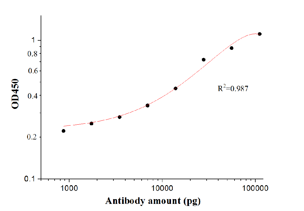 SARS-CoV-2 Envelope Protein Polyclonal antibody