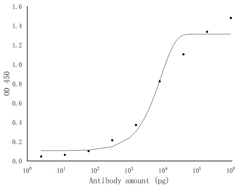 SARS-COV-2 NSP5 Polyclonal antibody