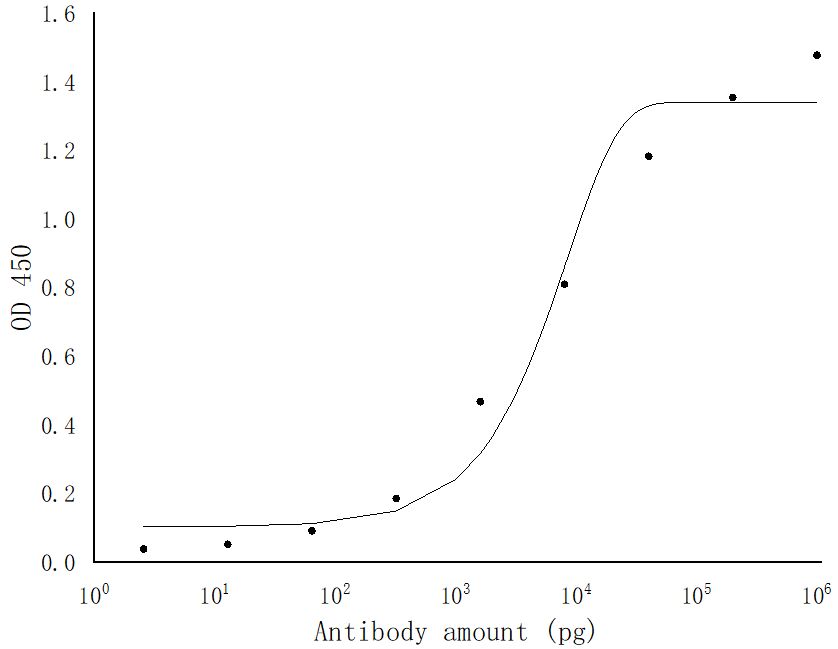 SARS-COV-2 NSP1 Polyclonal antibody