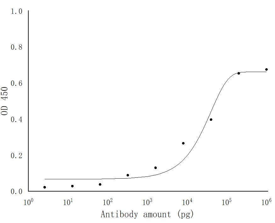 SARS-COV-2 NSP15 Polyclonal antibody