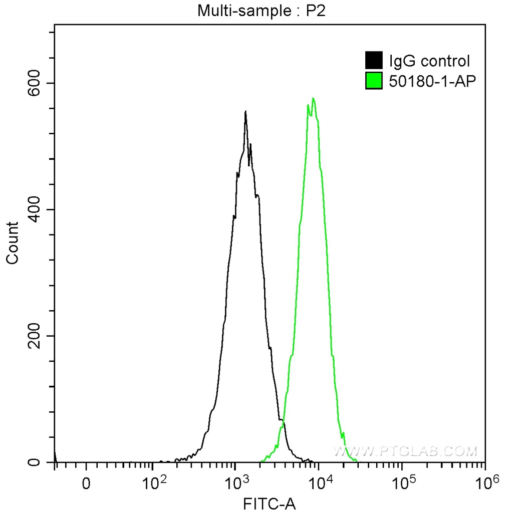 BCL10 Polyclonal antibody