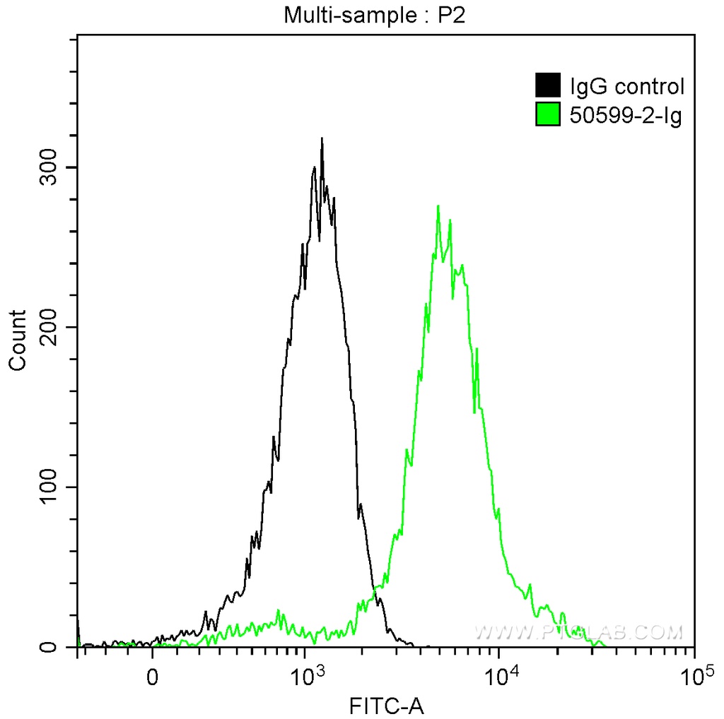 BAX Polyclonal antibody
