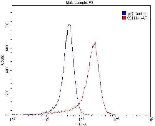 TRPM1 Polyclonal antibody