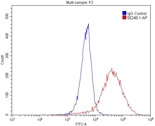 GPR35 Polyclonal antibody