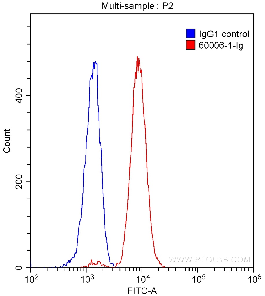 CD38 Monoclonal antibody