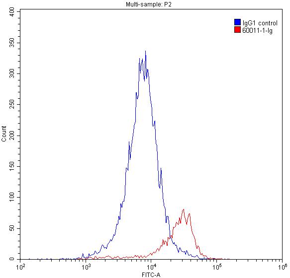 GATA1 Monoclonal antibody
