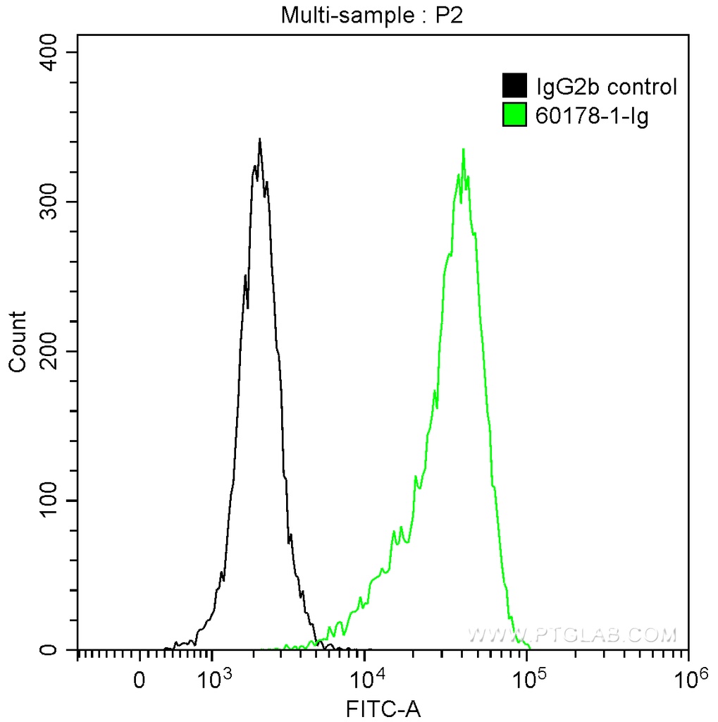 BCL2 Monoclonal antibody