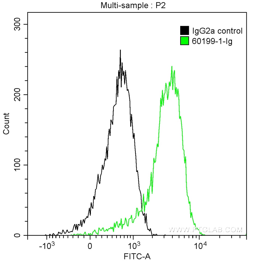 STAT3 Monoclonal antibody