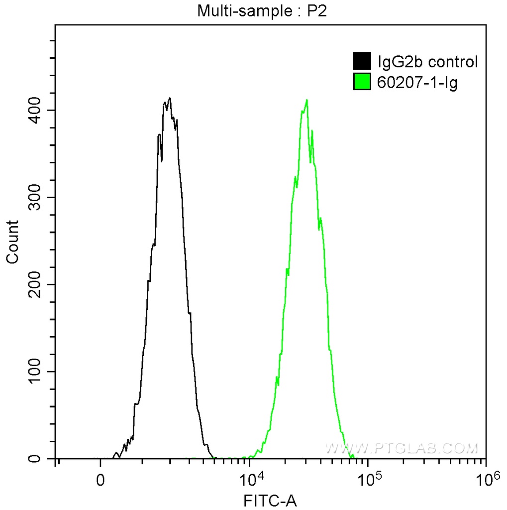 Galectin-3 Monoclonal antibody