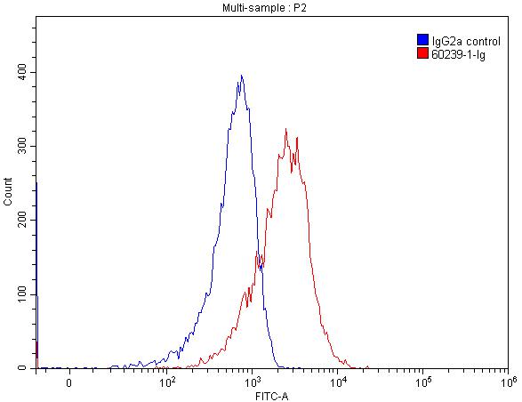 Desmocollin 2 Monoclonal antibody