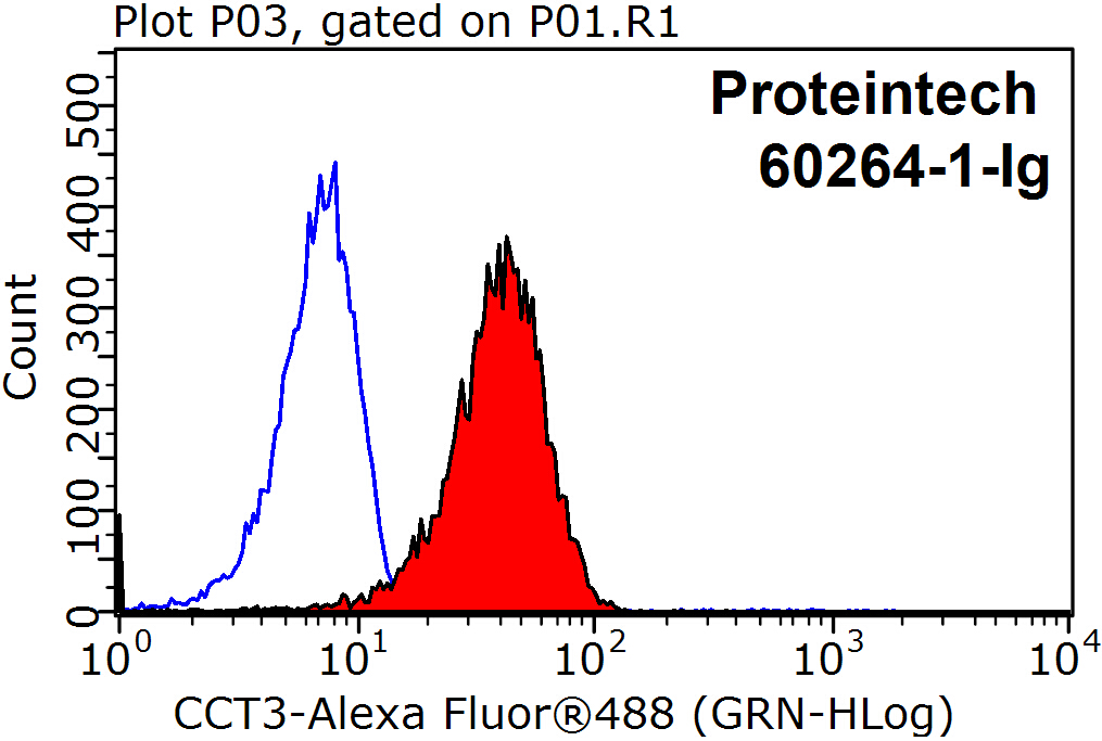 CCT3 Monoclonal antibody