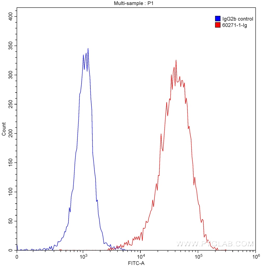 CD20 Monoclonal antibody