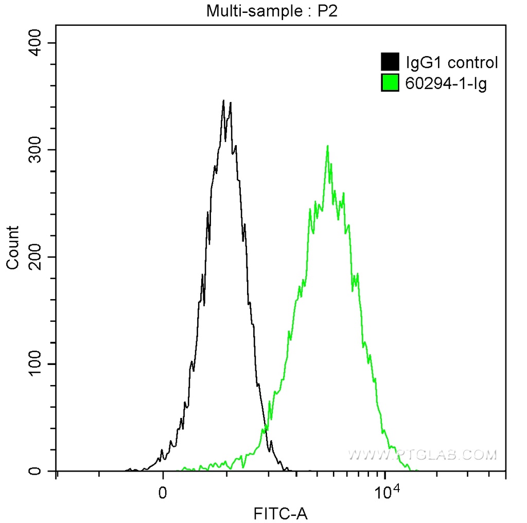 PLAP Monoclonal antibody