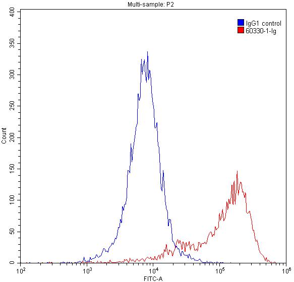 Vimentin Monoclonal antibody